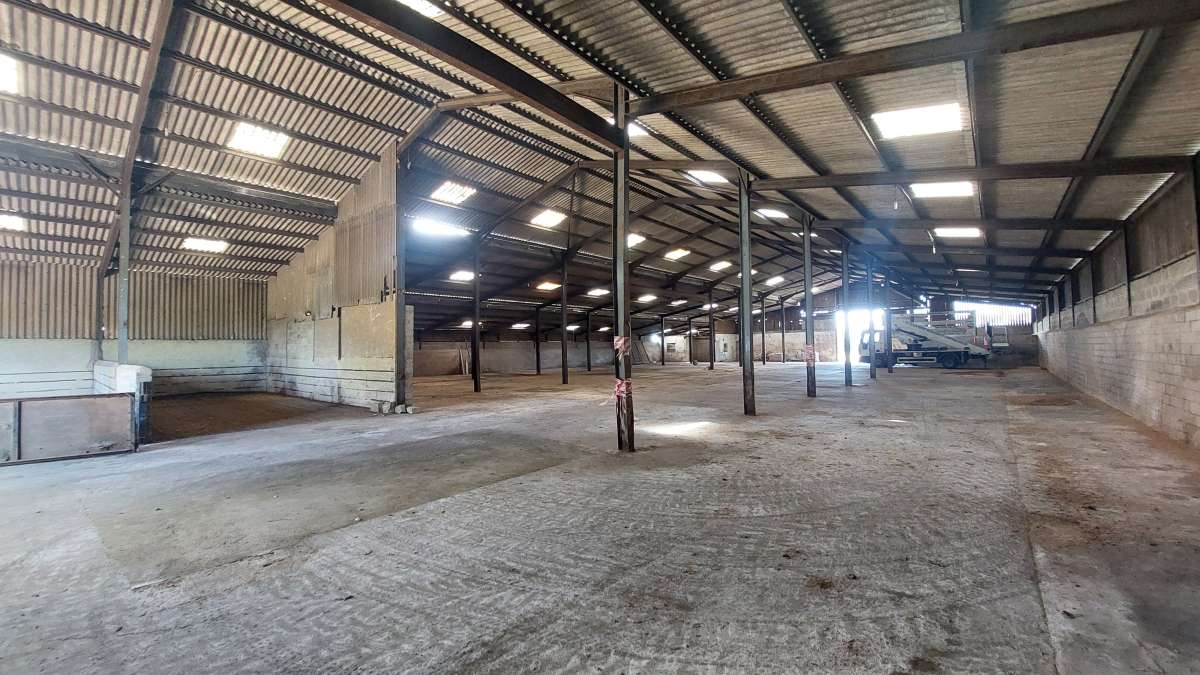 Industrial Unit in Panmure - photo 3