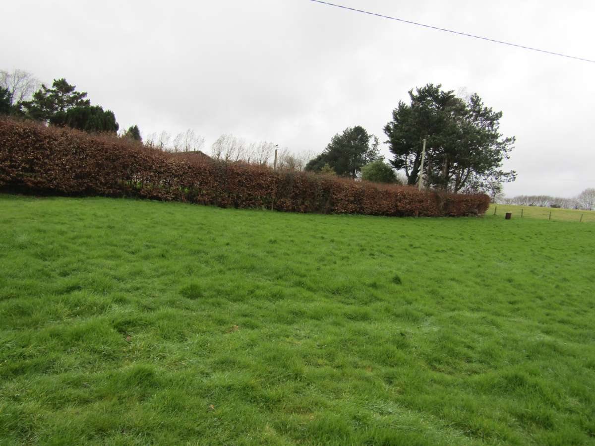 Land in Totnes - photo 3