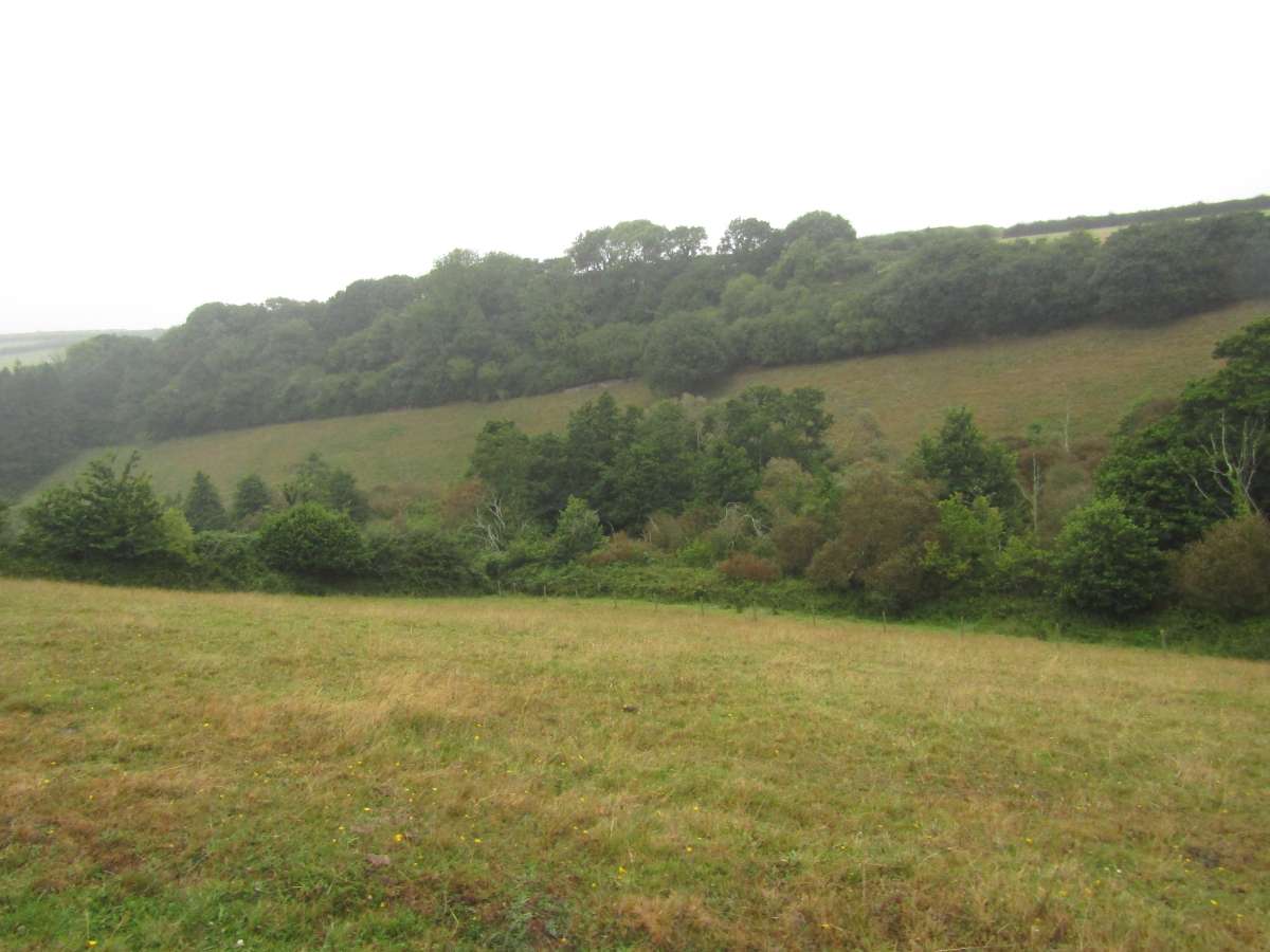 Land in Kingsbridge - photo 3