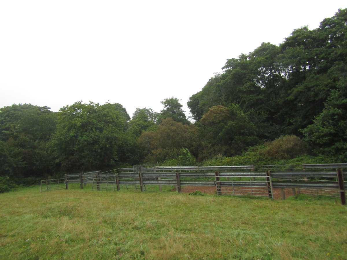 Land in Kingsbridge - photo 4