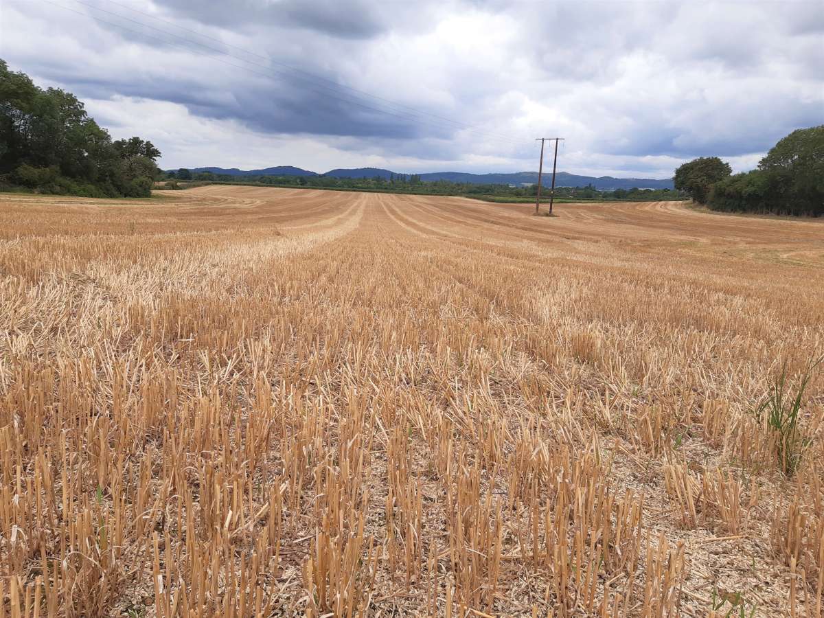 Land in Tewkesbury - photo 4