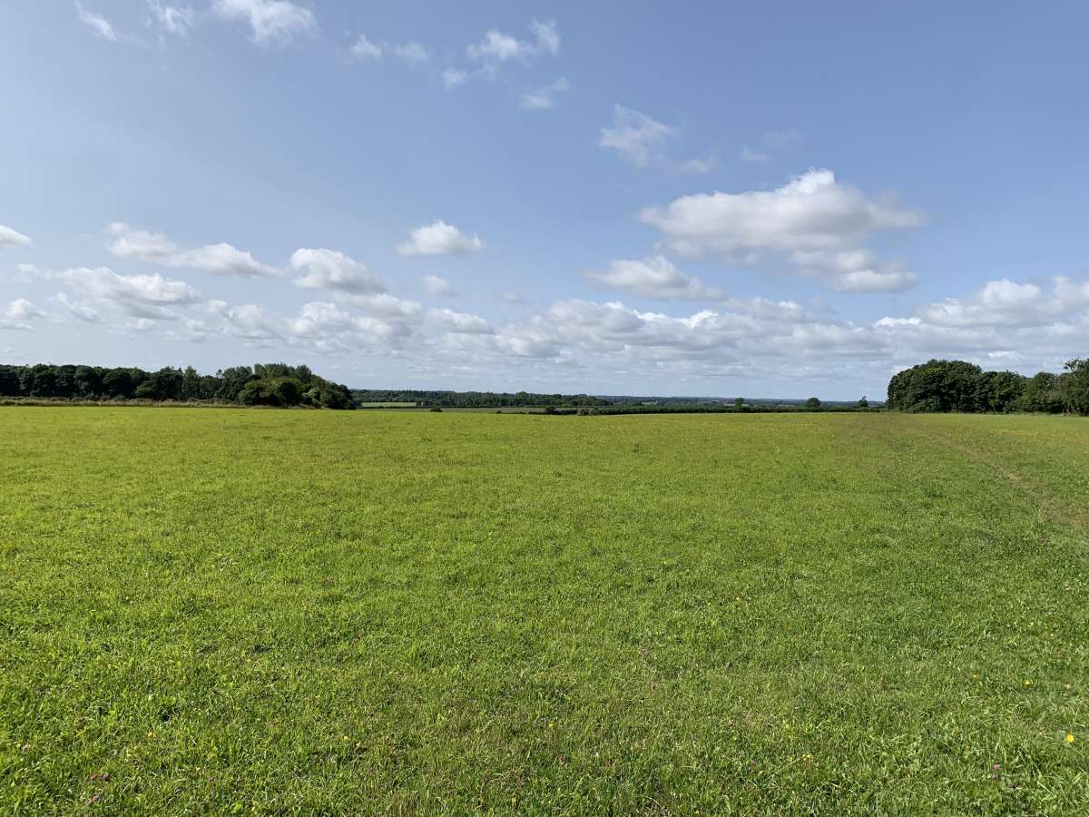 Land in Clapton - photo 3