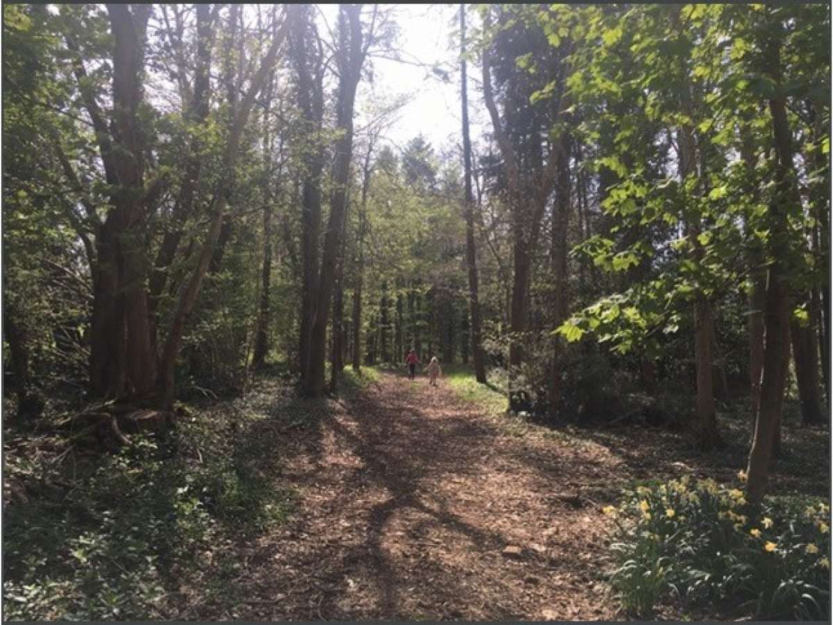 Office in Chippenham - photo 4