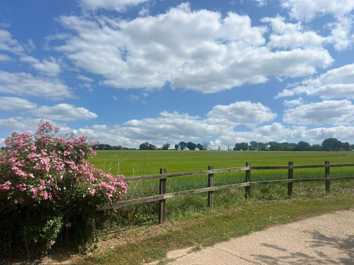 Office in Stockbridge - photo 3