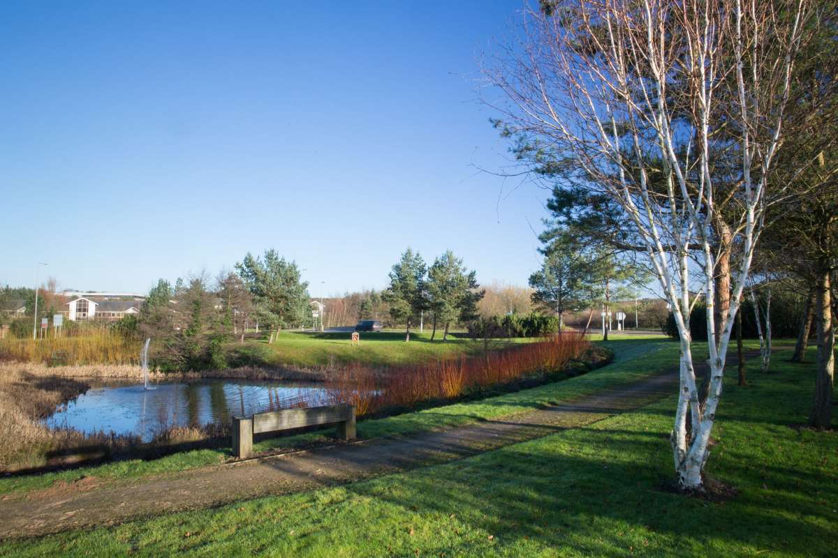 Office in Nottingham - photo 3