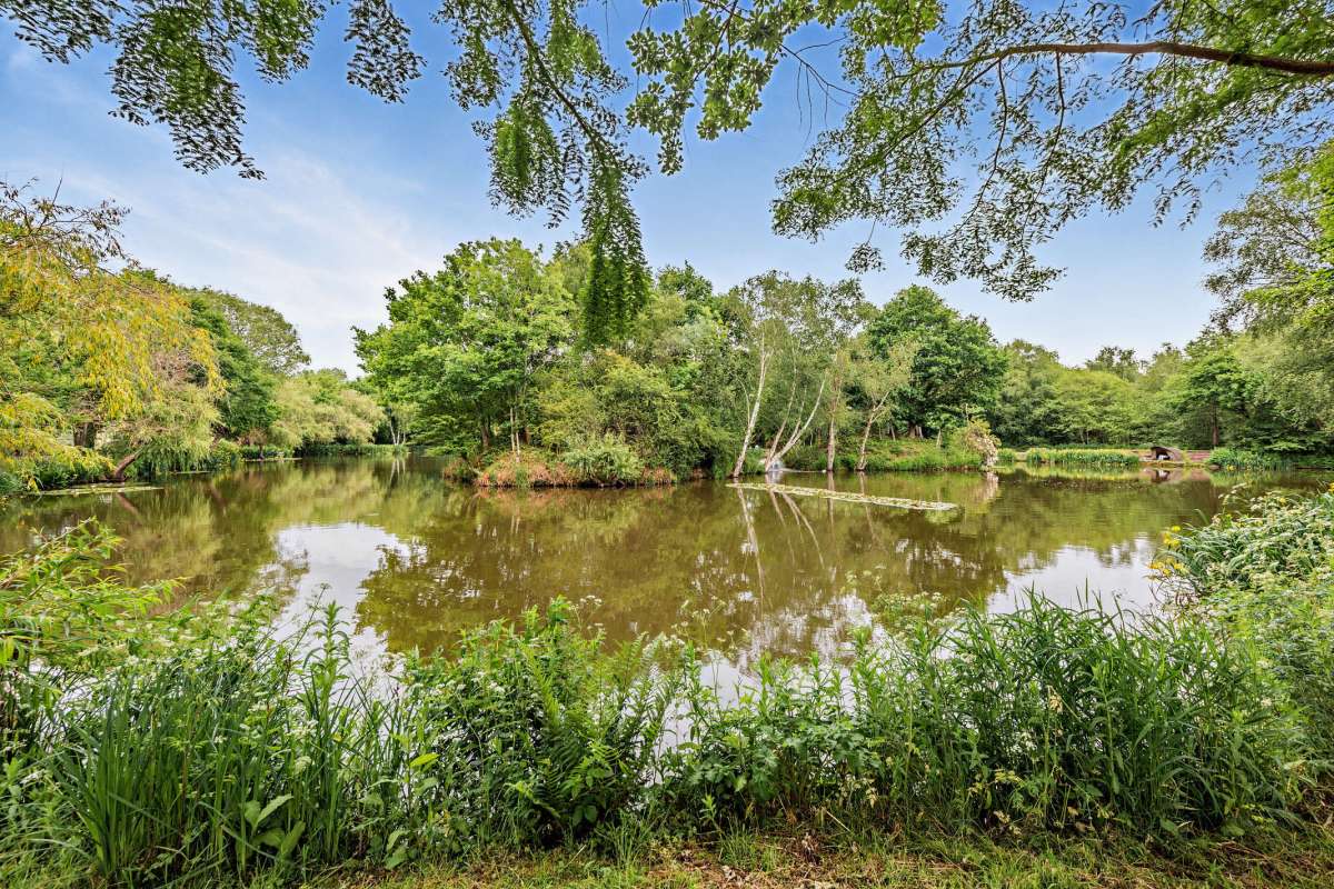 Other in Lingfield - photo 2