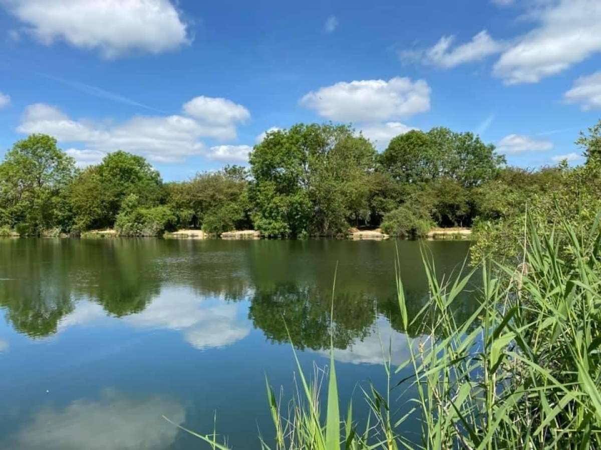 Other in Nottingham - photo 2