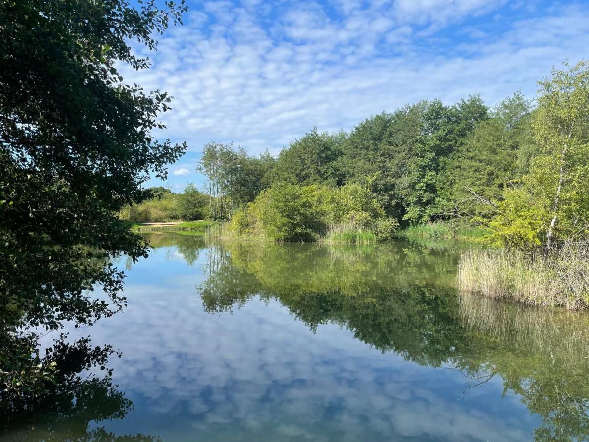 Other in Nottingham - photo 3