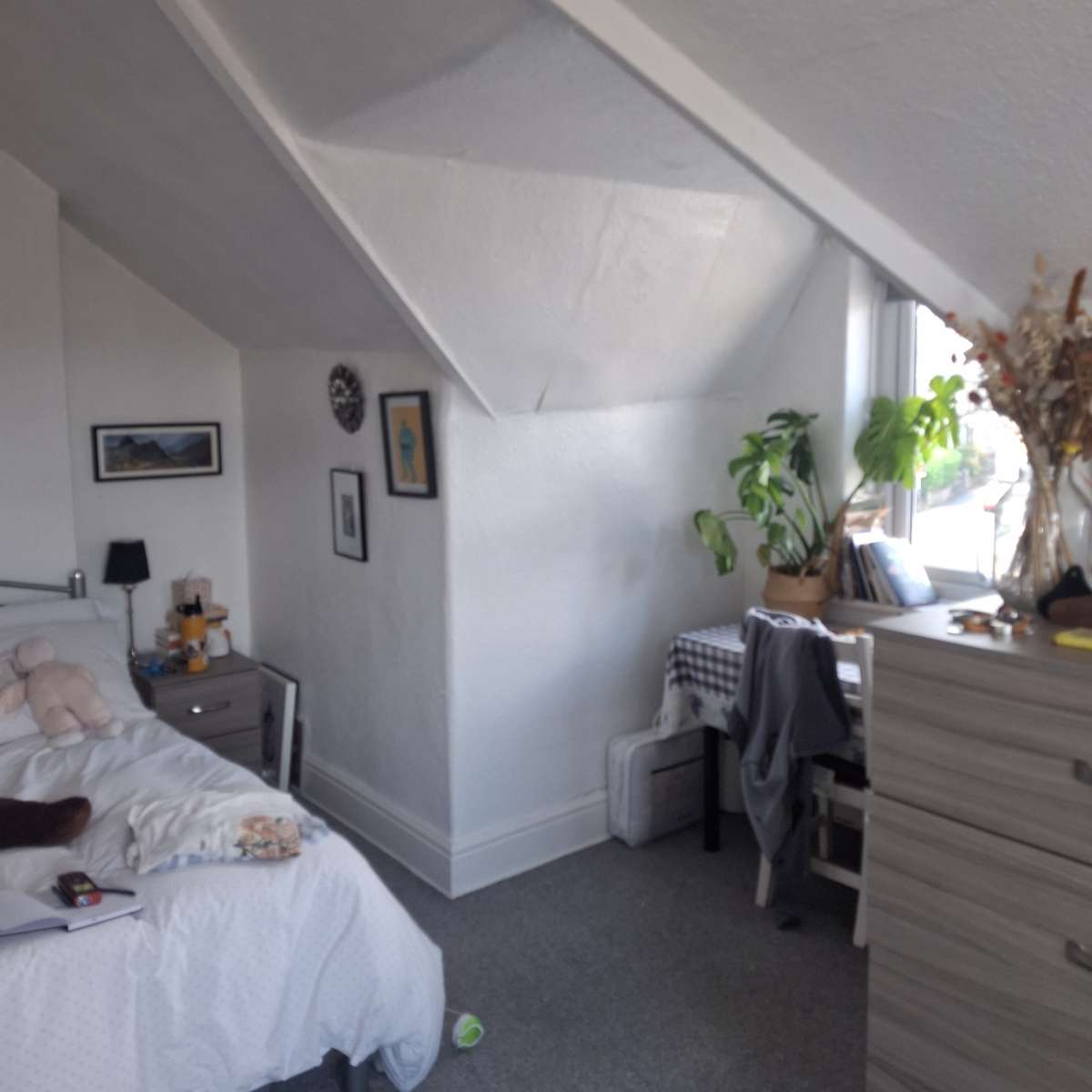 Retail/Shop in Sheffield - photo 2