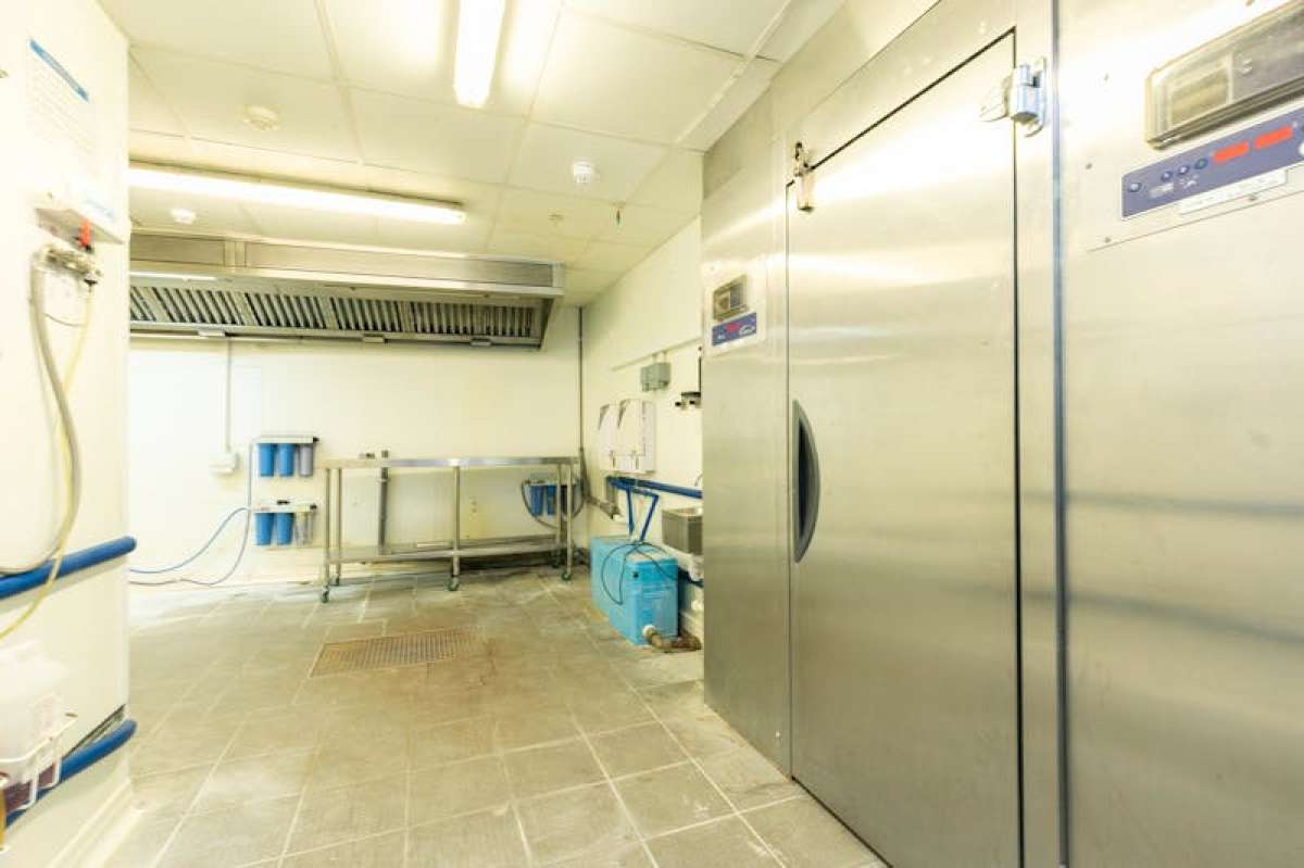 Retail/Shop in London - photo 3