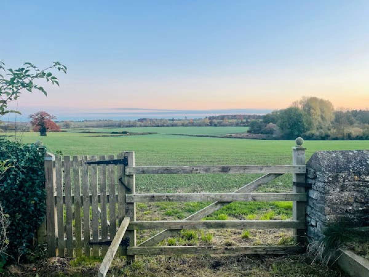 Retail/Shop in Bedford - photo 3